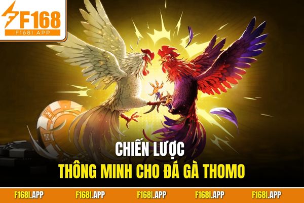 Chiến lược thông minh cho đá gà Thomo