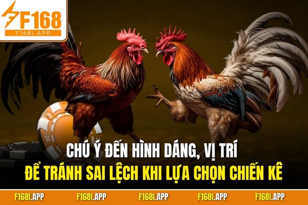 Chú ý đến hình dáng, vị trí để tránh sai lệch khi lựa chọn chiến kê