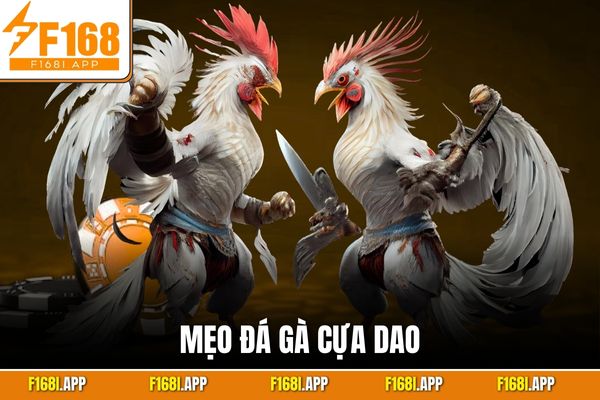 Mẹo Đá Gà Cựa Dao