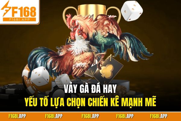 Vảy gà đá hay - Yếu tố lựa chọn chiến kê mạnh mẽ